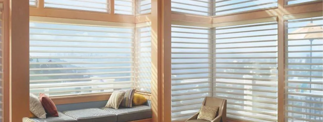Luminette Shades Cleaning