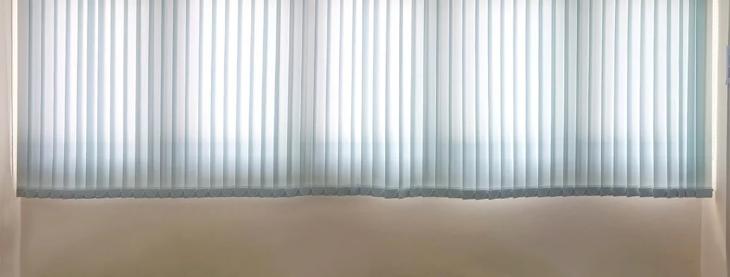 Vertical Blind Cleaning