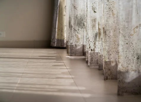 Curtains Cleaning Services Before