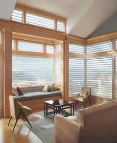 Luminette Shades Cleaning