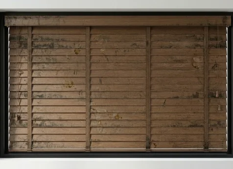 Wood Blinds Cleaning Before
